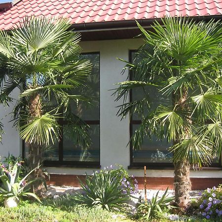 Pokoje Goscinne Pod Palmami Busko-Zdrój Exterior foto